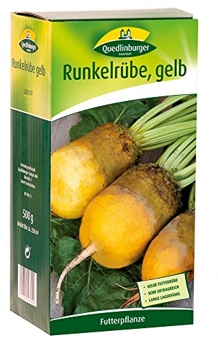 Quedlinburger 205107 Runkelrübe gelb 500 g (Rübensamen)