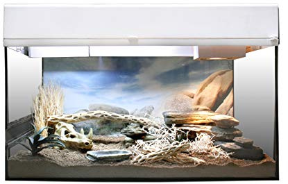 Lucky Reptile Wüstengecko Starter Kit 50 cm - högkvalitativt terrarium komplettset för små geckos - terrariekit med plats för upp till fyra geckos - startpaket för nybörjare i vit