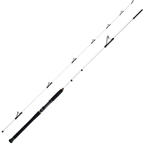 WFT Meeresrute Angelrute - Salzmeister Pollack Jigger 2,65m 20-90g Rute 2-Teilig