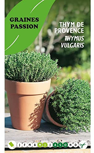 Graines passion, sachet de graines Thym de provence