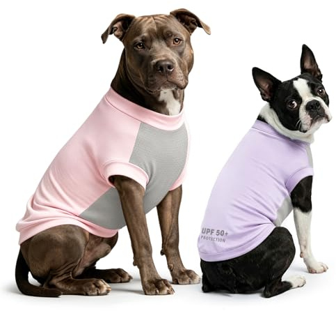 Dolahovy Chemise Chien Protection UV 2Pack, T-Shirt Chien léger Gilet Refroidissement Vêtements d'été Sec Rapide Chiens Confort Chemises Soleil pour Petits Chiens Grands Chats