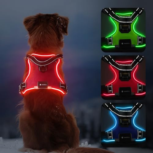 Harnais Chien Lumineux, LED Harnais Chien Anti Traction Réglable pour Petit Moyen Grand Chien, Réfléchissant Réglable Harnais avec 2 Anneaux et Poignée Contrôle, Facile à Mettre(Rouge,L)