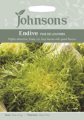 Johnsons World Botanics Vegetable - Pictorial Pack - Endive Fine de Louviers - 1000 Seeds
