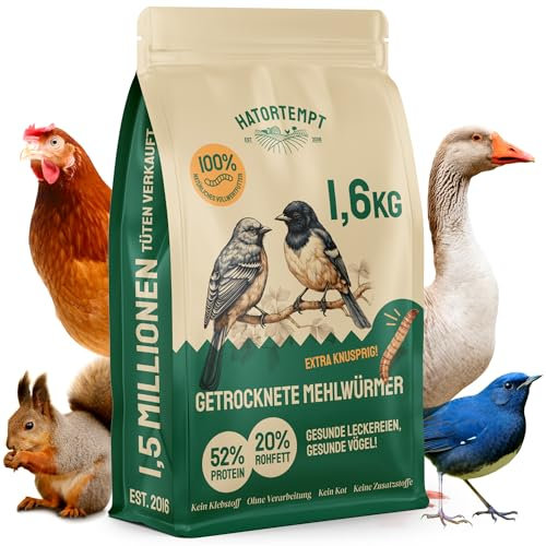 Hatortempt 10L Premium Mehlwürmer getrocknet - Non-GMO, Natürliches Vogelfutter Wildvögel ganzjährige Ernährung, trockene Würmer für Vögel, Hamster 1.6 kg