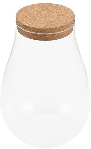 Kisangel Terrarium Verre pour Micro-Paysage Betta DIY Conteneur Bouteille Écologique Bryophytes