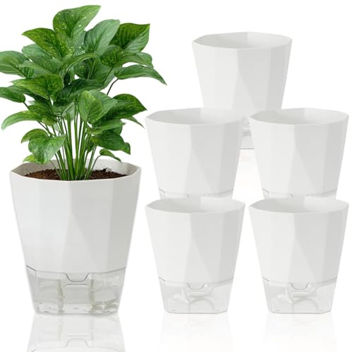 FARYODI Set di 6 vasi autoirriganti, 12,5 cm, con sistema di irrigazione in effetto avorio, con serbatoio di acqua trasparente, per balcone e interni (bianco)