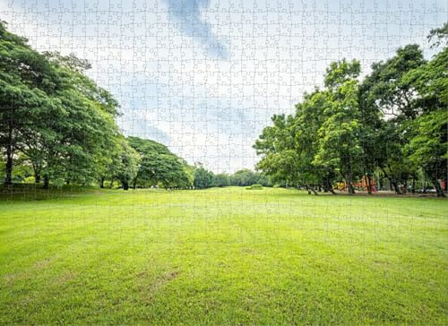 Summer Park Deciduous Trees Jigsaw Puzzle, Deciduous Forest Park View, 1000 Piece, Family Bonding & Home Decor, Fade-Resistant Color for Longevity
