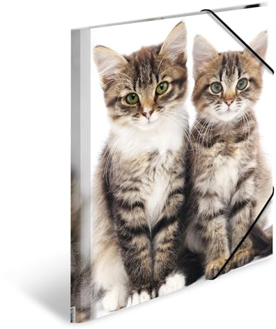 HERMA 7138 - Carpetas A4 de animales, gatos, paquete de 3, carpetas de esquina de plástico para niños con impresión interior y banda elástica, juego de carpetas de plástico resistente para niños y