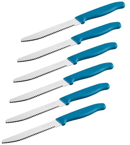 Nirosta Elemental Frühstücksmesser – Made in Germany – Scharfer Wellenschliff für Brötchen und Brezeln – Nachhaltiger Griff – 4 Jahre Garantie - 6er-Set, Blau/Silber
