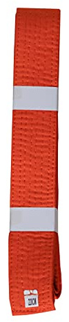 Lisaro kampsportbälte Karate Judo Taekwondo Ju Jutsu BJJ bälte storlek 160–300 cm (orange, 180)