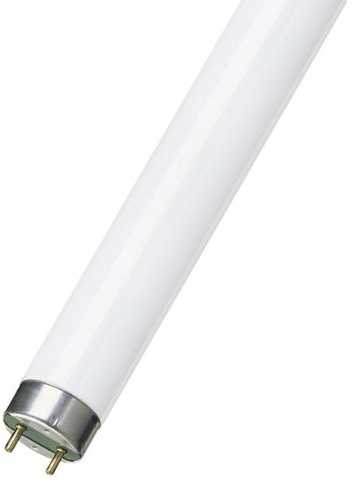 Sylvania F18W T8 BL368 Sicherheitsschalter