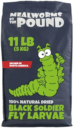 North American Grown Dried Black Soldier Fly Larvae (11 lbs) - More Calcium Than Mealworms - Treats for Chickens, Wild Birds, & Reptiles