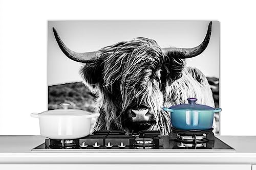 KitchenYeah© Küchenrückwand Platte Spritzschutz Küche Deko Aluminium Platte Wandschutz Küchen Zubehör WandverkleidungKuh - Schottisches Hochlandrind - Schwarz - Weiß - Tiere - 80x55 cm