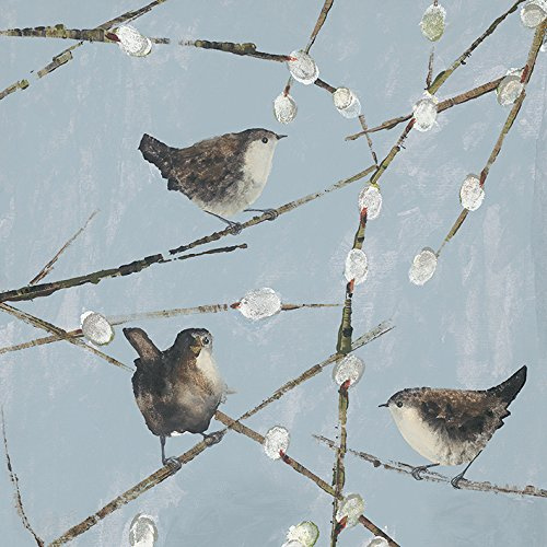 Julia Burns Wrens, 40 x 40 cm, Leinwanddruck Mehrfarbig