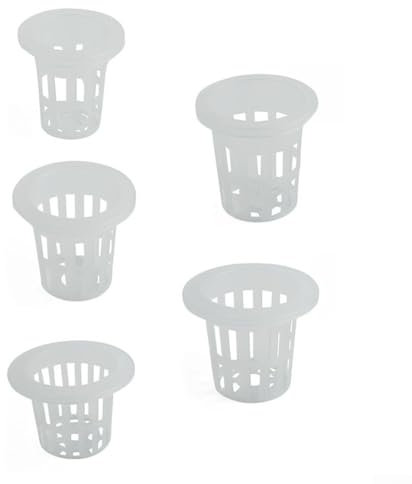 Transparent Planting Basket Set of 50 for Vigorous Vegetable Cultivation (D)
