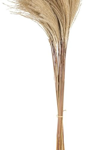 Artyfêtes Générique - Bouquet 50 Pompons PLUMEAUX 85CM Nature