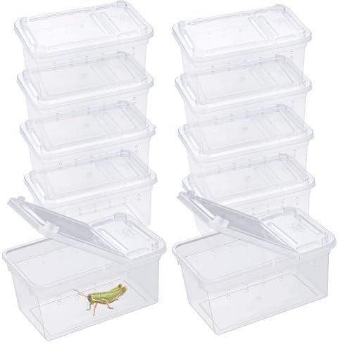 Boîte à nourriture pour reptiles, transparente, habitat animalier, cage, araignée, terrarium, boîte à couver en plastique pour reptiles, tortue, araignée, grenouille, scorpion, serpent (11 x 7 x 5,5