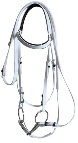 PciDinFo Bride pour Cheval avec Rênes, Têtière, Accessoires D'équitation, Corde D'équitation, Mors en Acier Inoxydable pour Cours de Cheval, Entraîneme, Blanc 12.5 Cm