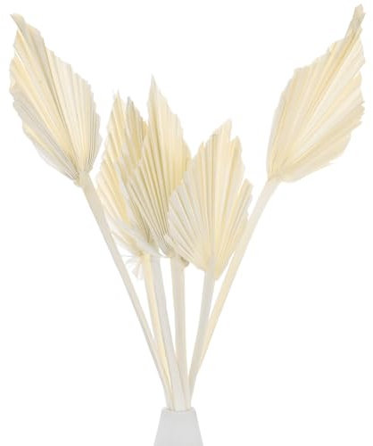 M METERXITY 6-Park Dried Palm Leaves 13.7x3.9 Natural Dried Real Palm Fans Palm Leaves Bulk for Boho Wedding/Home Bouquets Decorations Dried Gold Palm Leaf with Stem [White]