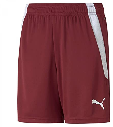 PUMA Unisex Baby Teamliga Shorts Jr, Cordovan, 152