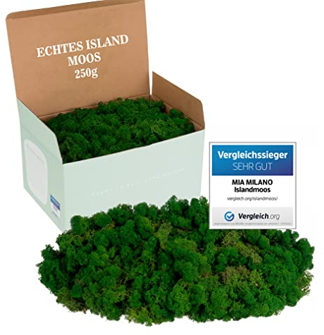 Mia Milano Islandmoos konserviert dunkelgrün | Moos Deko zum Basteln | 250g Echtes dunkelgrünes Dekomoos Isländisch für Moosbild | Mooswand lebend