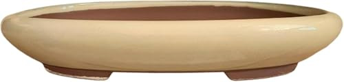Genérico BIOMATA Maceta Bonsai Ceramica para Kifu/Shohin 16,5x13,2x3,7 cm | Tiesto Ovalado | Maceta para Bonsai Resistente a Cualquier Clima | Tiesto Ceramica con Drenaje (Crema)