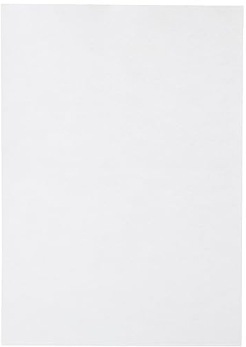 Clairefontaine 24385C Packung mit 25 Blatt Pollen, DIN A4, 210 x 297 mm, 210g, Perlmutt Weiß