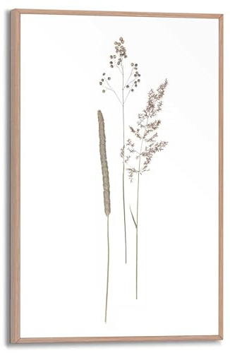 REINDERS Gerahmtes Bild, Dried Flowers, Wohnzimmer, Poster, Wanddeko, Room Decor, MDF, Beige, 30 x 20