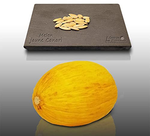 20 graines à semer - Le Grenier d'Abondance - MELON JAUNE - Melon Canari - Cucumis Melo