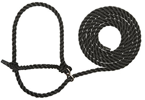 Weaver Leather Livestock Extra Long Breaking Halter, Black, X-Long