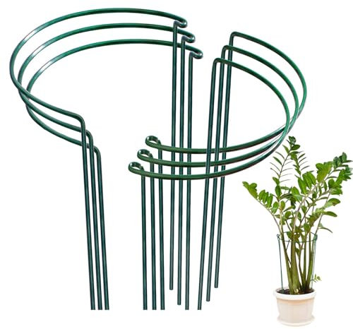 6 Pezzi Pali di Supporto per Piante, Confezione Supporti per Piante da Giardino Semitondo Anello di Supporto per Piante da Giardino Bordo per Pomodoro,Vite, Peonie, Piante Rampicanti Fiore (40x25CM)
