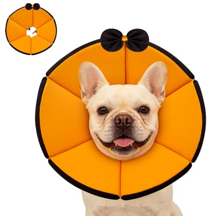 GGW mjuk halsband hund justerbar andningsaktiv (orange, M) | Bekväm läckageskyddskrage för hundar. Perfekt för postoperativ vård eller hudklåda. Justerbar halsomkrets.
