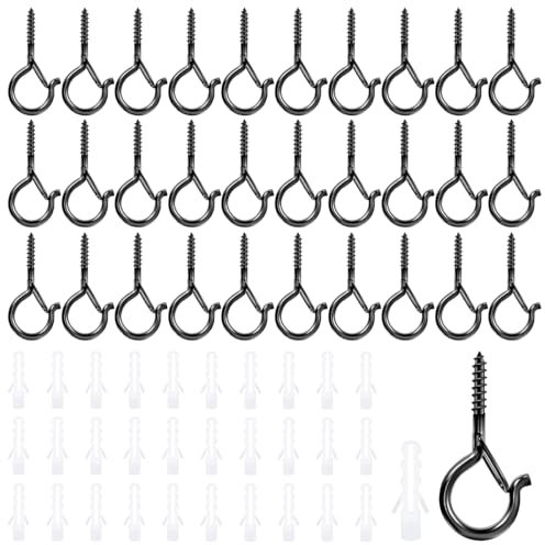 30 Pièces Piton à Visser Noir, Crochet à Visser Charge Lourde, Crochet de Plafond, Crochets à Vis, avec Boucle de Sécurité, pour Suspendre des Paniers à Plantes, Mangeoires à Oiseaux, Lanternes