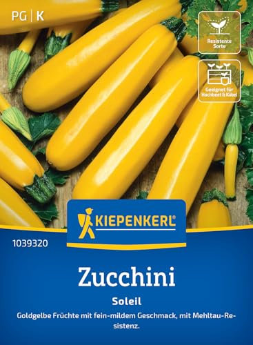Kiepenkerl Zucchinisamen Soleil 1039320 für 7 Pflanzen - Schnell reifende gelbe Zucchinisamen, robust gegen Mehltau, ideal für Gemüsesamen Anbau, zarte Früchte