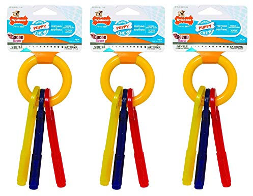 Nylabone (3 Pack) Puppy Teething Keys Small Bacon Chew Toy for Dogs