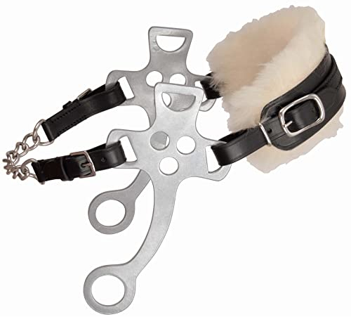 TdeT Hackamore - Cheval, Noir