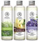 Raumduft Diffuser Nachfüller Lemongrass & Vanille & Lavendel 600ml - 3x200ml - Nachfüller Set für Duftdiffusor - Reed Diffuser Refill - Raumbeduftung - Zimmerduft - Diffuser Nachfüllen - Raumluft