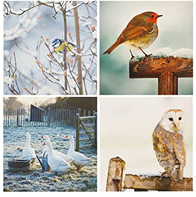 UK Greetings Special Editions Multipack julkort – välgörenhet julkort multipack – 16-pack – julkort multipack, multi, 556700-0-1, 150 mm x 150 mm