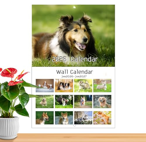 Kattkalender Kreativ Konstnärlig Planerare
