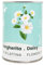iGreen Fiori in Lattina - Kit Coltivazione Fiore (Margherita) - Idea Regalo Ecosostenibile - 100% Made in Italy - Lattina in Alluminio con Semi di Pianta o Fiore Decorativo e Riciclabile