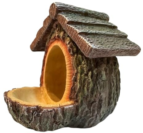 Mangiatoia per uccelli per la casa, mangiatoia decorativa per uccelli con un design aperto, grande dispenser decorativo per uccelli – per osservare e nutrire di s e scoiattoli sulla finestra esterna