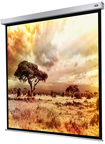 celexon Professional Plus Motor-Leinwand 65 | 120x120 cm 1:1 | elektrische 4K,Full-HD Präsentations-Leinwand für Ihren Heimkinobeamer | zur Decken-/ Wand-Montage | mit Fernbedienung