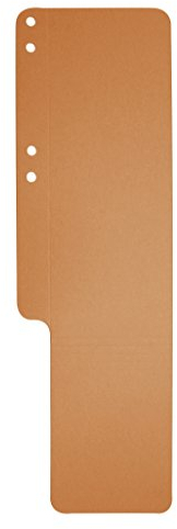 Exacompta 13709B 100er Pack Premium Aktenschwänze Exaflex aus Recycling Karton mit Seitenfalz genutet und gelocht, ideal für Exaflex Kanzlei Hängehefter für Büro Kanzlei und Anwälte, orange