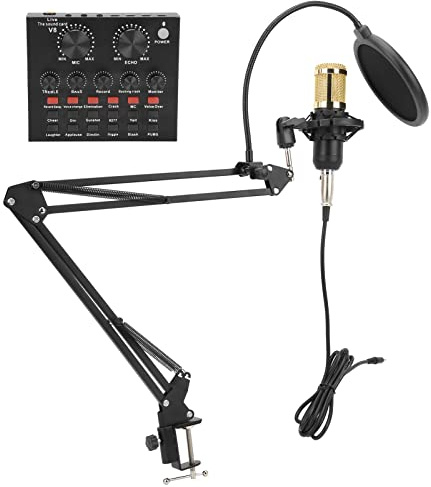 Dpofirs Kondensatormikrofon Professionell Klart Ljudinspelningskit för Studio Hemprojekt Kommunikation Metall Svart 1 Set
