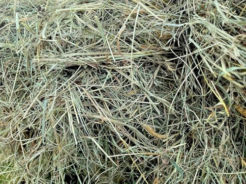 Natural Meadow Hay for Small Animals, Farm-Fresh Feed and Bedding, 5kg-20kg