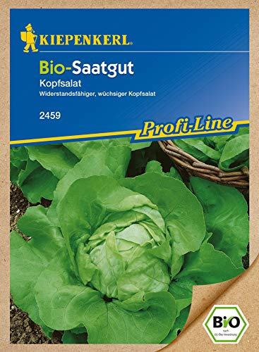 Salatsamen - Bio-Kofsalat Ovation von Kiepenkerl