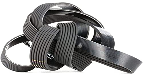 BOSCH Keilrippenriemen