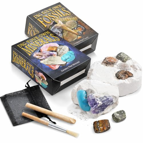 Dig Your Own Rock, Mineral & Fossil Kit – 2 Pack Excavation Kits with Real Fossils & Gemstones, STEM Science Activity Set
