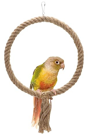 Bird Rope Swing Toy Parrot Climbing Perch Stand for Cockatiel Conure Cockatoo Parakeet Cage Hanging Decor (B: Round)