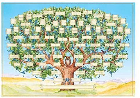HOMRAA généalogie - Affiche d'arbre généalogique Vierge à remplir - 23x35in Ancestry Family Tree Chart Family 6 Generation Picture Wall Decor Cadeau pour Membre la